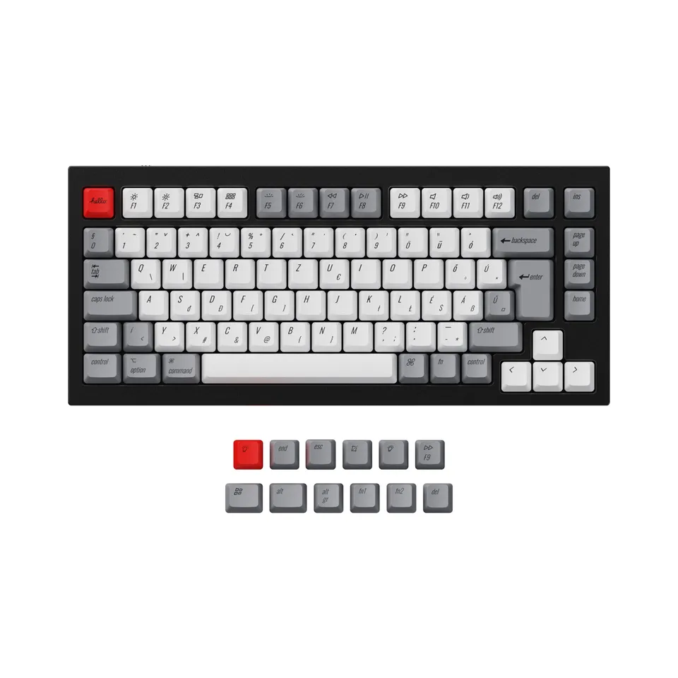 keychron-q1-q2-k2-set-de-touches-oem-pbt-dye-sub-r-tro-iso-ansi image 1