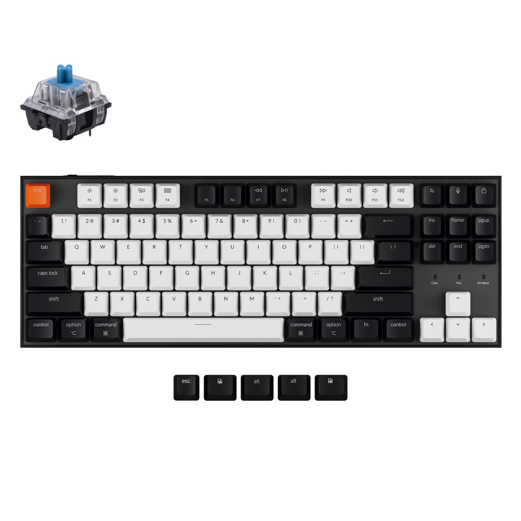 keychron-c1-clavier-m-canique-filaire-tenkeyless-ansi-us image 5