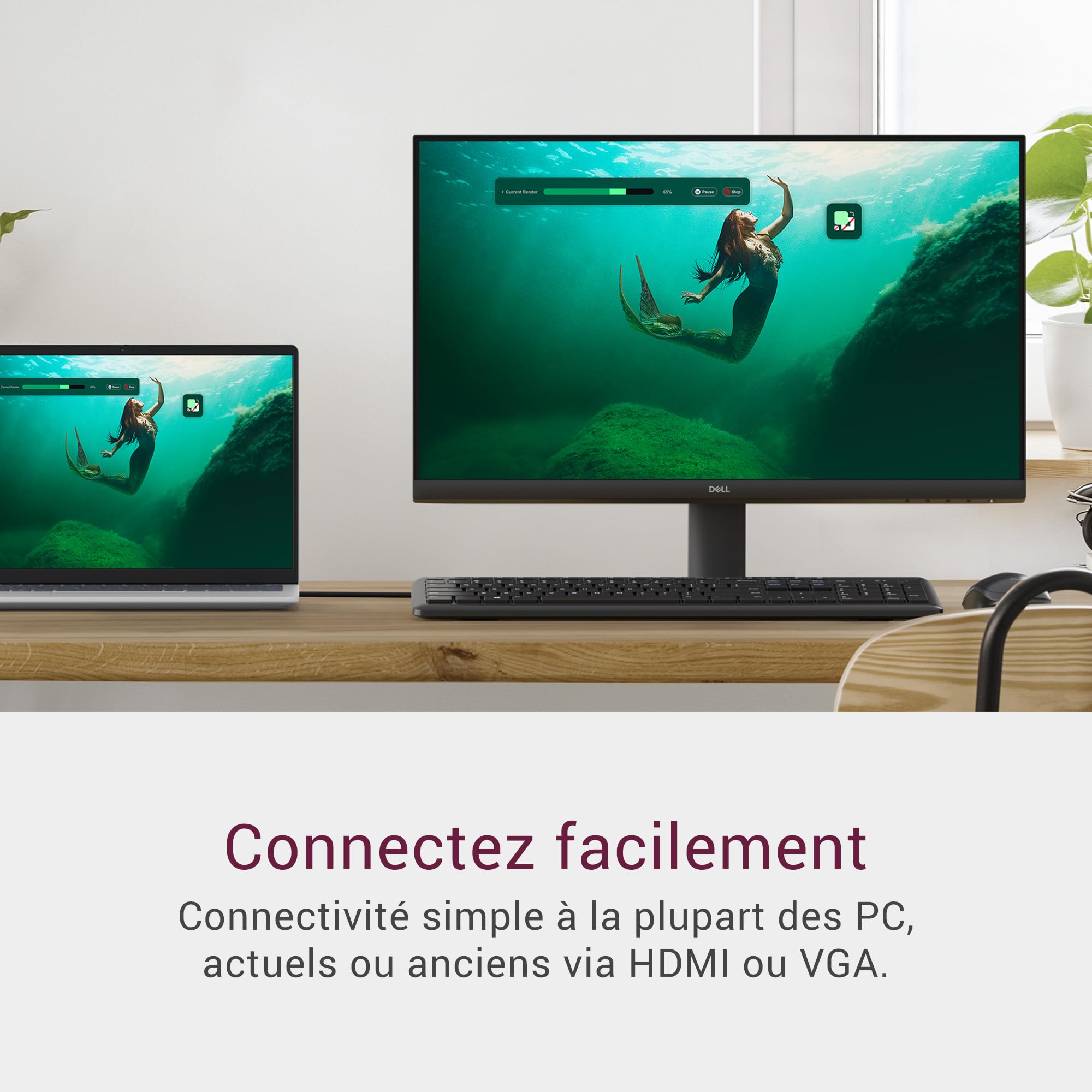 dell-se2425hm-cran-pc-24-full-hd-100-hz-ips-noir image 2