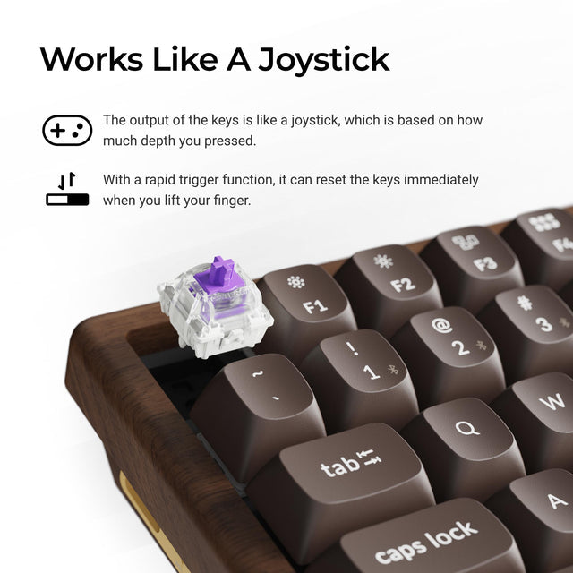 keychron-k2-he-all-wood-special-edition-clavier-magn-tique-sans-fil-75-en-bois image 4