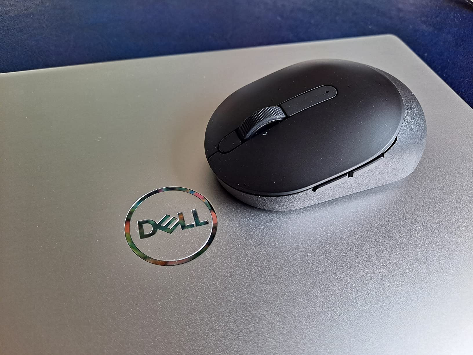 Excellente petite souris