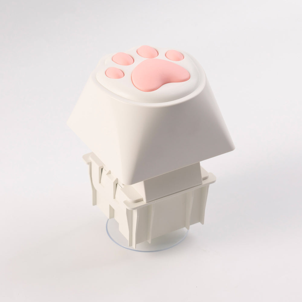 keychron-big-kitty-paw-key-touche-g-ante-filaire-programmable image 3