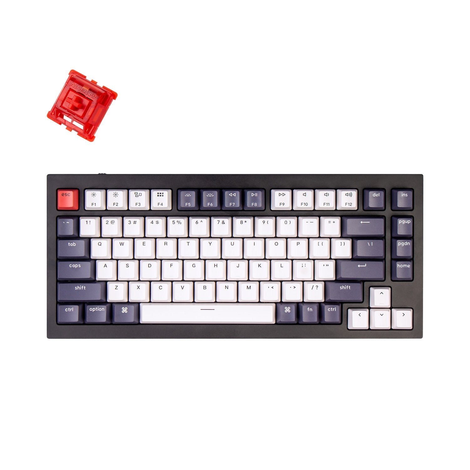keychron-q1-qmk-clavier-m-canique-filaire-custom-us-ansi image 6