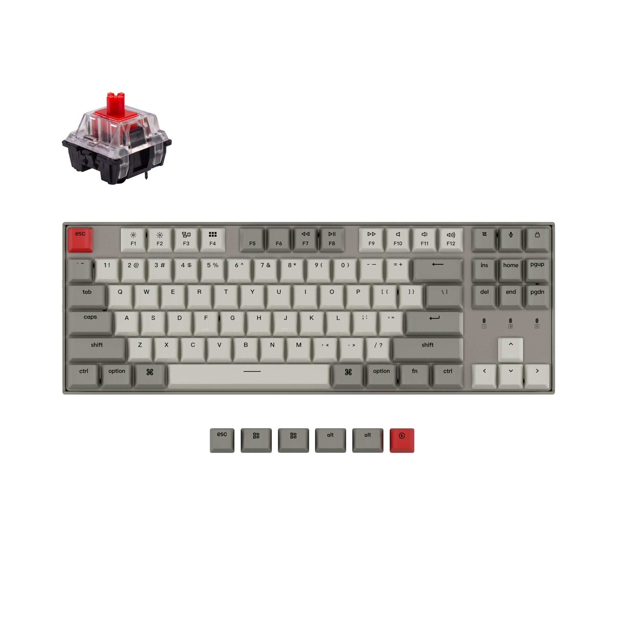 keychron-k8-non-backlight-clavier-m-canique-sans-fil-tenkeyless-ansi-us image 1