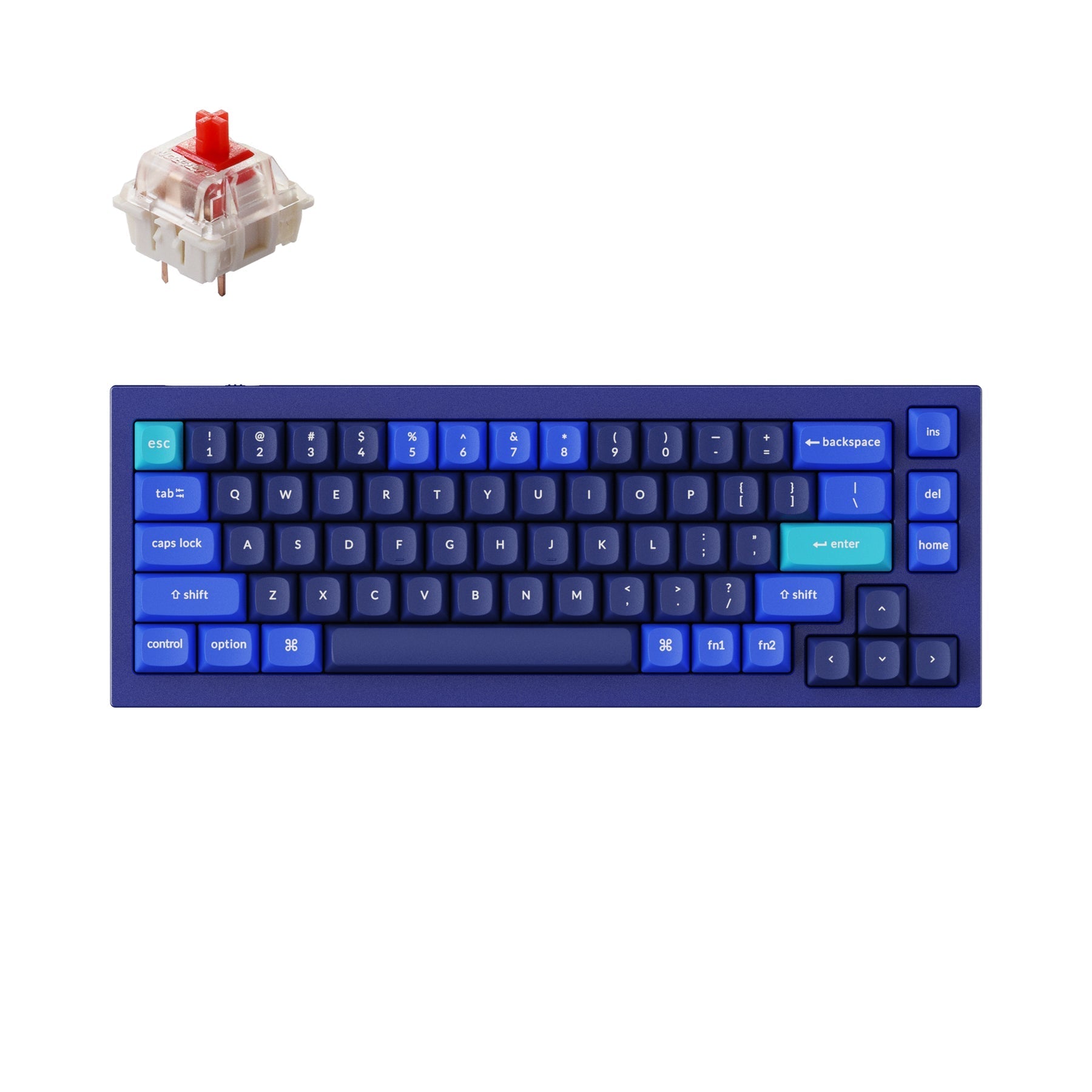 keychron-q2-qmk-clavier-m-canique-custom-filaire-75-layout-us-ansi image 7