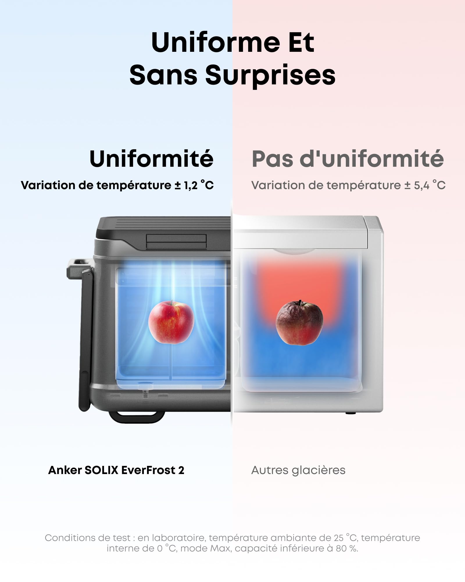 anker-solix-everfrost-2-glaci-re-portable-40-l-batterie-288-wh image 4