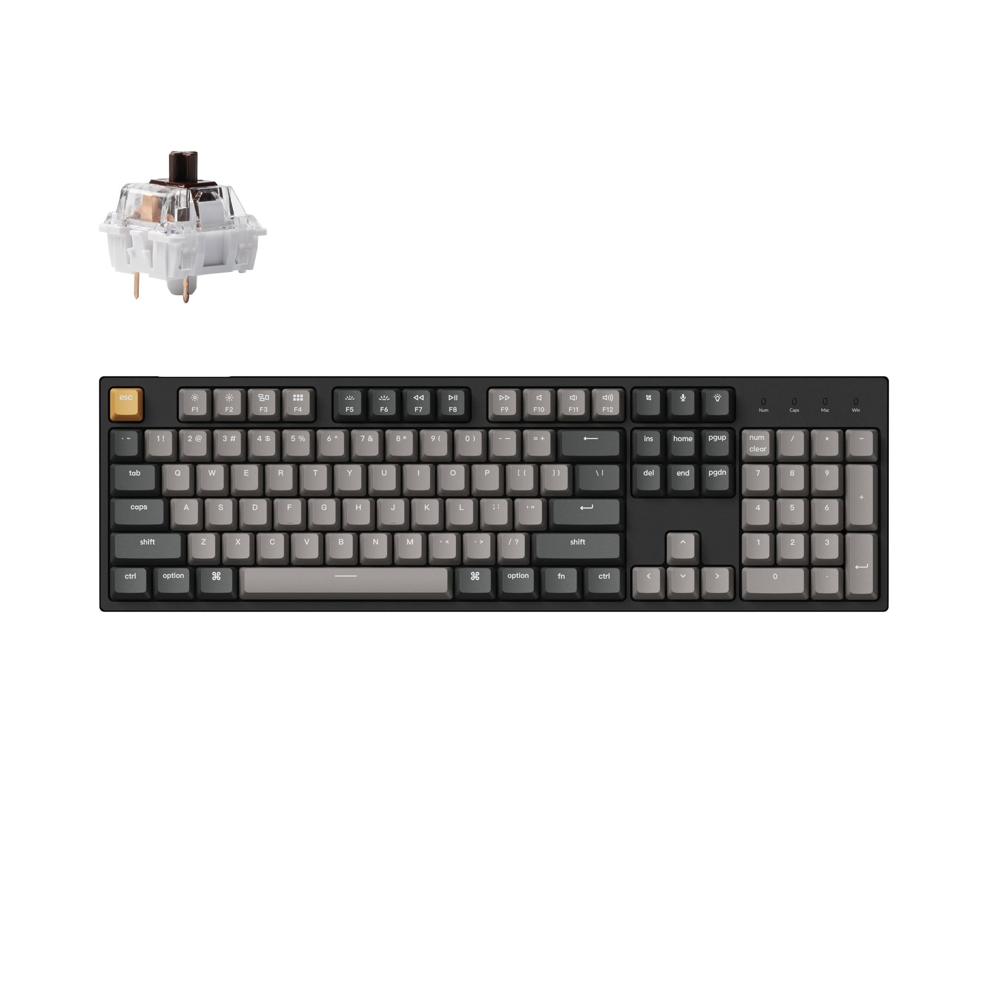 keychron-c2-pro-qmk-via-clavier-m-canique-filaire-100-full-size-pbt-ansi-us image 2