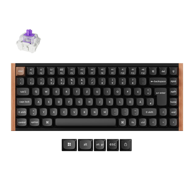 keychron-k2-he-clavier-custom-magn-tique-sans-fil-75-gateron-double-rail image 5