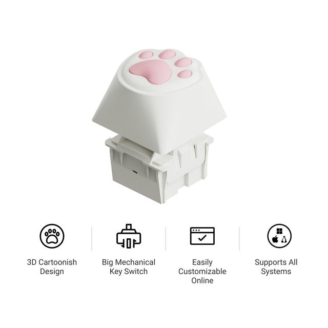 keychron-big-kitty-paw-key-touche-g-ante-filaire-programmable image 4