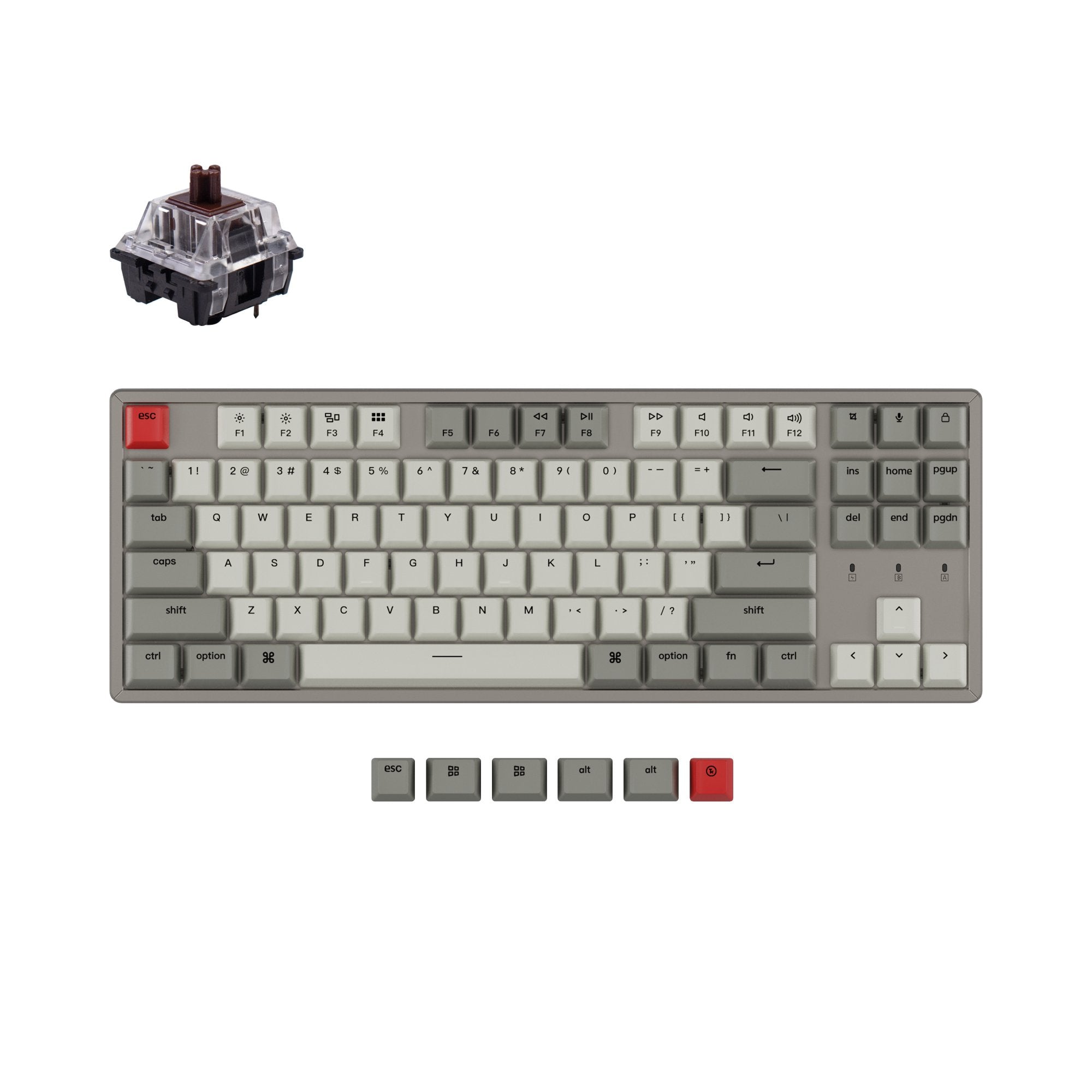keychron-k8-non-backlight-clavier-m-canique-sans-fil-tenkeyless-ansi-us image 6