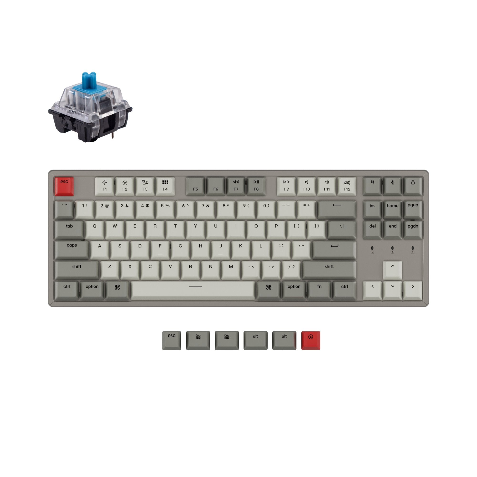 keychron-k8-non-backlight-clavier-m-canique-sans-fil-tenkeyless-ansi-us image 5
